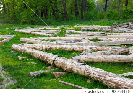 forged steel stripe connection of wooden log beams for roof support girder framework laid on green grass at summer day 92954436