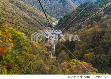 秋季谷川岳纜車【群馬縣利根區水上町】 秋季谷川岳纜車【群馬縣利根區水上町】 92954976