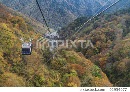 秋季谷川岳纜車【群馬縣利根區水上町】 92954977