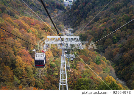 Autumn Tanigawadake Ropeway [Gunma Prefecture, Tone District, Minakami Town] 92954978