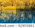 Blue Pond Biei 92955861