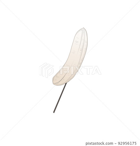 香蕉 香蕉 92956175
