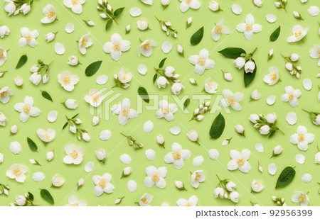 Seamless floral pattern of Jasminum Grandiflorum Royal Jasmine flowers, leaves buds and petals Seamless floral pattern of Jasminum Grandiflorum Royal Jasmine flowers, leaves buds and petals 92956399