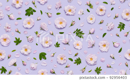 Seamless floral pattern of pink blooming Celestial minden rose flowers, leaves buds and petals  92956403