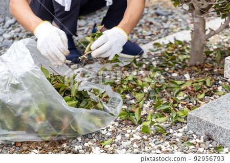 一個男人在參觀墳墓時照顧植物並收起被砍斷的樹枝和樹葉 92956793