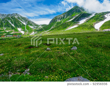 Superb view Tateyama and alpine plants 92956936
