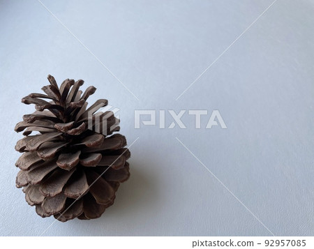 放置在左側的松果 放置在左側的松果 92957085