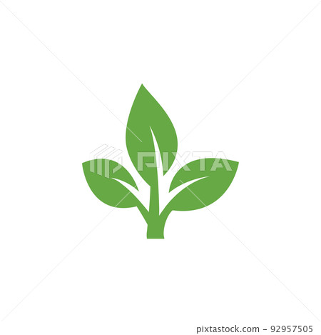 Flat leaves icons. Leaf vector illustration 92957505