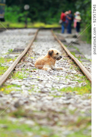 Peru's floating city, road to world heritage Machu Picchu, to the city of Aguascalientes 92957848