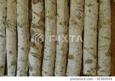 birch wall birch wall 92960046