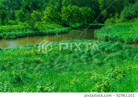 small forest river between banks with fen-meadows 92961101