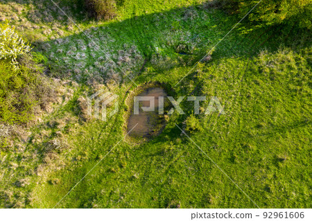 Aerial view of green pasture with small natural drinking ponds for buffalos and farm animals 92961606