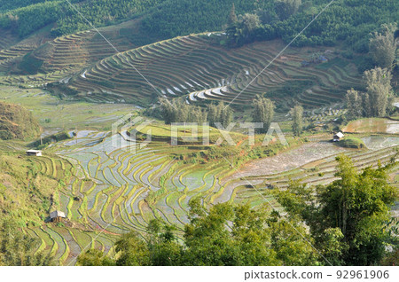 Terraced rice field in Northern Vietnam Terraced rice field in Northern Vietnam 92961906