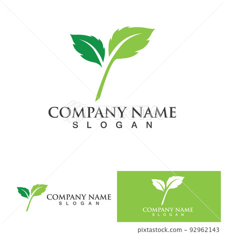 Leaf green logo and symbol vector 92962143