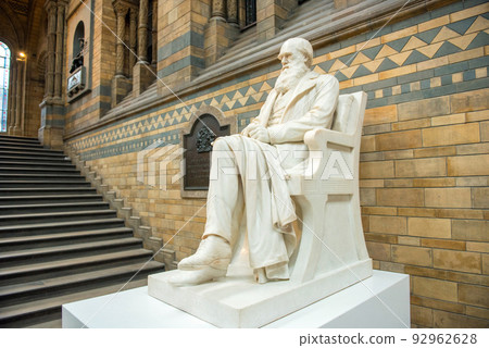 Statue of Charles Darwin in Natural History Museum, London 92962628