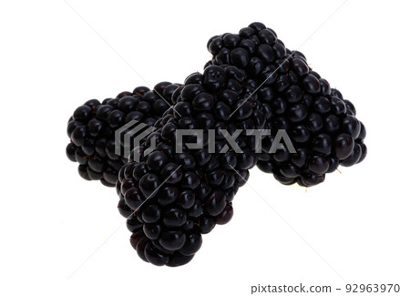 blackberry berry isolated blackberry berry isolated 92963970