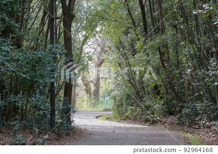 公園自行車路線（愛知縣一宮市小野極樂寺公園） 92964168