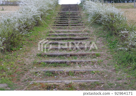 Stairs in the park Yukiyanagi (Ohno Gokurakuji Park, Ichinomiya, Aichi Prefecture) Stairs in the park Yukiyanagi (Ohno Gokurakuji Park, Ichinomiya, Aichi Prefecture) 92964171