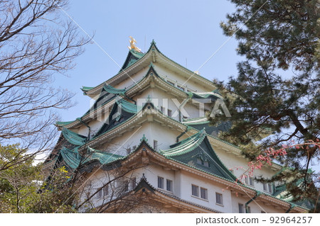 Looking up at the castle from below (Nagoya Castle, Nagoya City, Aichi Prefecture) 92964257