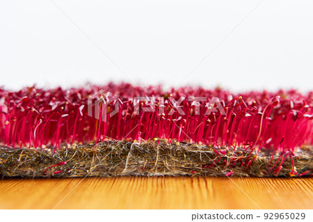Red color microgreen amaranth growed on the fabric on wooden background 92965029