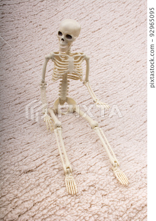 Human skeleton model posing for medical anatomy science 92965095