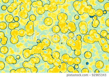Shape of bacterial cell Shape of bacterial cell 92965343