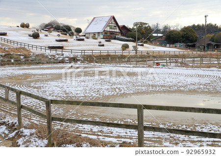 Ranch with a thin layer of silver (Aichi Ranch, Nisshin City, Aichi Prefecture) Ranch with a thin layer of silver (Aichi Ranch, Nisshin City, Aichi Prefecture) 92965932