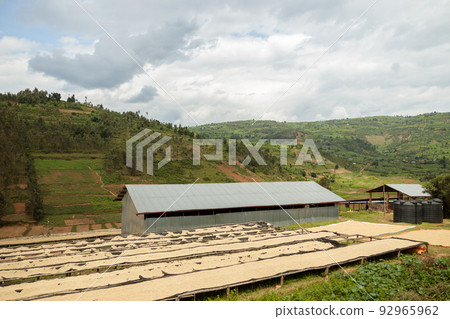 Drying racks and warehouse on the coffee farm Drying racks and warehouse on the coffee farm 92965962