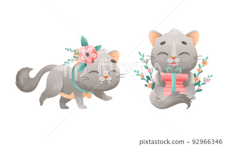 Cute grey kitten set. Lovey playing cat animal with flowers and gift box cartoon vector illustration 92966346