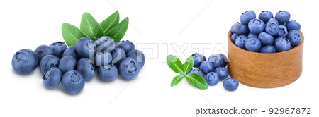 fresh blueberry with leaves isolated on white background closeup with full depth of field. Set or collection . fresh blueberry with leaves isolated on white background closeup with full depth of field. Set or collection . 92967872