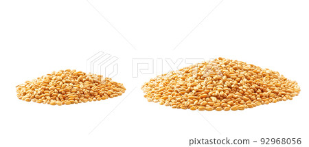 Pile of organic wheats isolated on white background.Heap of dry wheats isolated on white. 92968056
