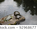 Relaxing place for turtles 92968677