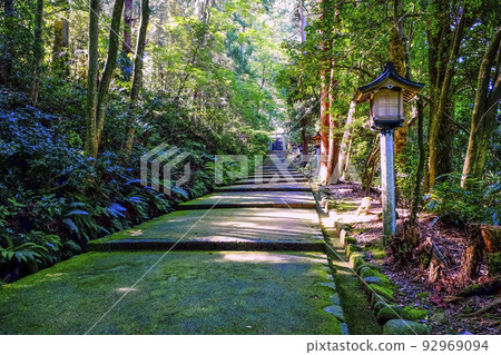 白山神社苔蘚方法 92969094