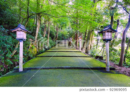 苔蘚路徑 苔蘚路徑 92969095