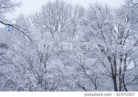 札幌大通的雪景 札幌大通的雪景 92970367