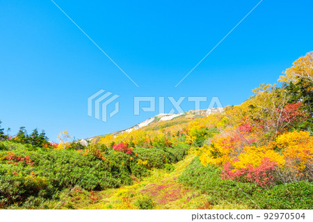 Tsugaike Nature Garden (Autumn) Tsugaike Nature Garden (Autumn) 92970504