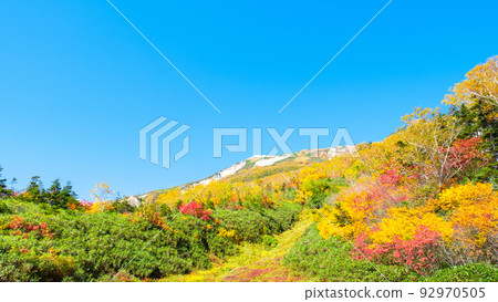 Tsugaike Nature Garden (Autumn) Tsugaike Nature Garden (Autumn) 92970505
