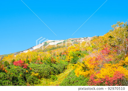 Tsugaike Nature Garden (Autumn) 92970510