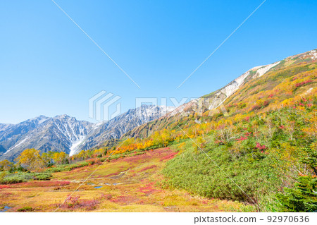 Tsugaike Nature Park (Autumn): Panoramic Marsh 92970636