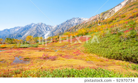 Tsugaike自然公園（秋季）：全景沼澤 92970734