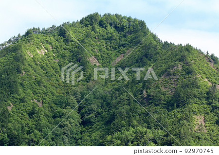 夏季里山的森林綠意盎然 福島縣只見町 92970745