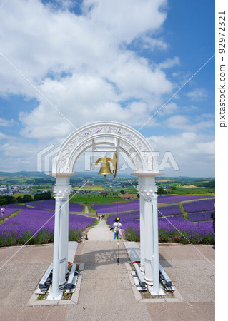 Hinode公園的薰衣草和拱門 92972321