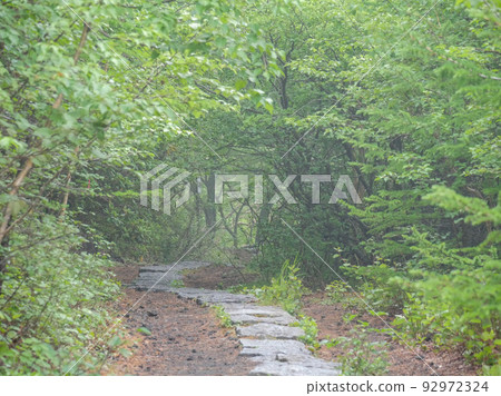 Mt.Fuji walking path 8 Mist Mt.Fuji walking path 8 Mist 92972324