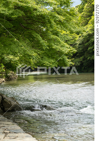 [Mie Prefecture] Ise Shrine 92972770