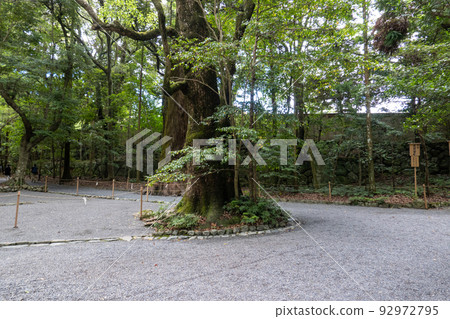 [Mie Prefecture] Ise Shrine 92972795