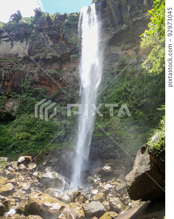 Pinaisara Falls on Iriomote Island 92973045