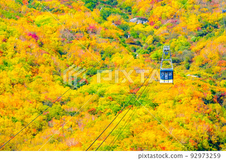 Tateyama Ropeway (Autumn) 92973259
