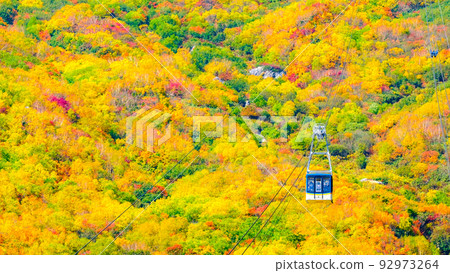 Tateyama Ropeway (Autumn) 92973264