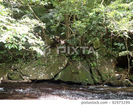 Upstream of the Pinaisara Falls 92973299