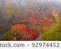 Japanese autumn scenery in the morning mist 92974452